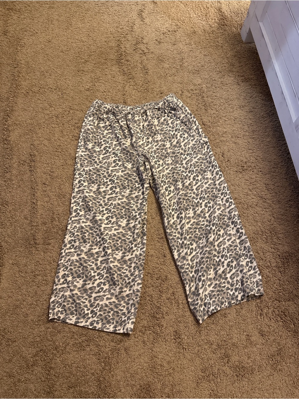 aerie Men's Leopard Print Sweatpants in Beige and Gray